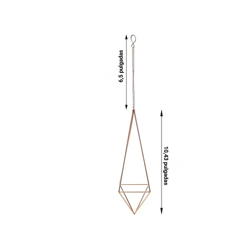 Soporte Colgante Plantas Aéreas 2