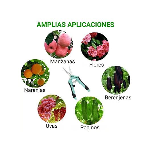 Tijera De Poda De Plantas Recubrimiento Titanio Punta Recta 4