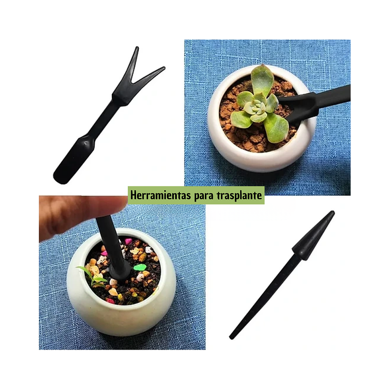 Kit Herramientas Jardín Cactus-bonsái X11 Piezas Acero+bolsa 3