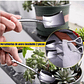 Kit Herramientas Jardín Cactus-bonsái X11 Piezas Acero+bolsa - Miniatura 4