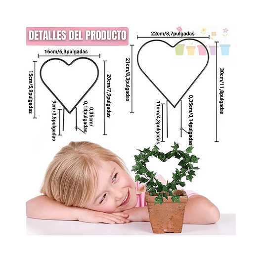 2 Piezas Forma Corazón Para Guía De Plantas Enredaderas 2