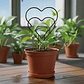 2 Piezas Forma Corazón Para Guía De Plantas Enredaderas - Miniatura 1