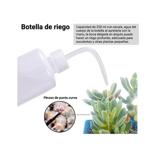 Kit Herramientas Cactus Y Suculentas X13 Piezas 2