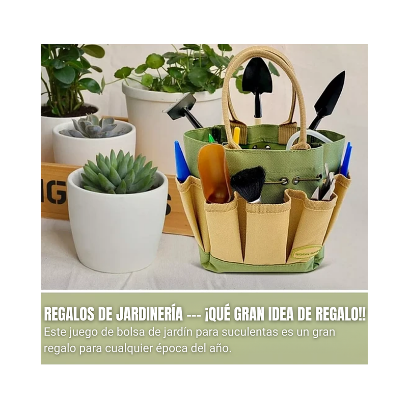 Kit Herramientas Suculentas X13 Piezas más bolso Organizador 2