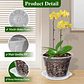 Macetas Transpirable 10cm Para Orquídeas x8 unidades con Platillo - Miniatura 3