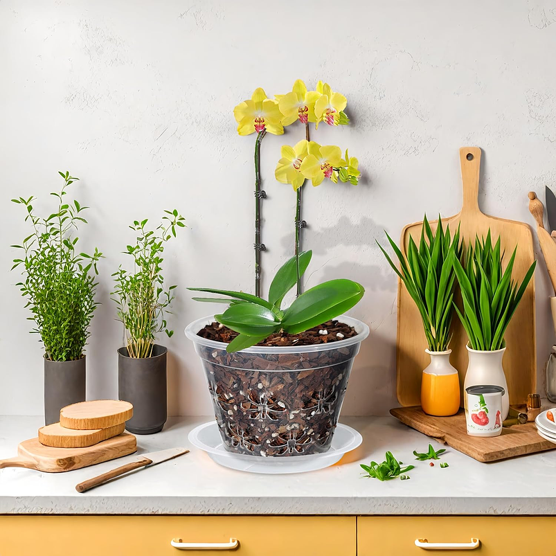 Macetas Transpirable 10cm Para Orquídeas x8 unidades con Platillo 6