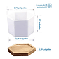 Maceta Hexagonal Blanca Cerámica X6unid. 7cm Ax5cmalto+plato - Miniatura 4