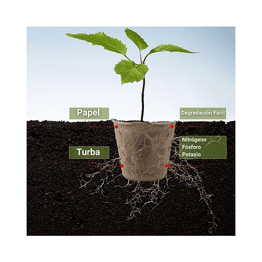 Maceta Papel Orgánico Biodegradable x25unid más 25 Etiquetas 8