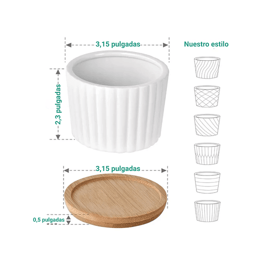 Juego De Macetas En Cerámica Y Bambú De Cactus Suculenta x6 5