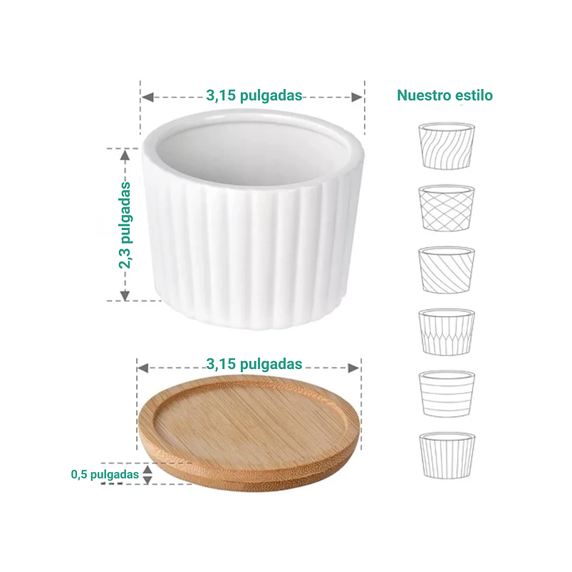 Juego De Macetas En Cerámica Y Bambú De Cactus Suculenta x6 5