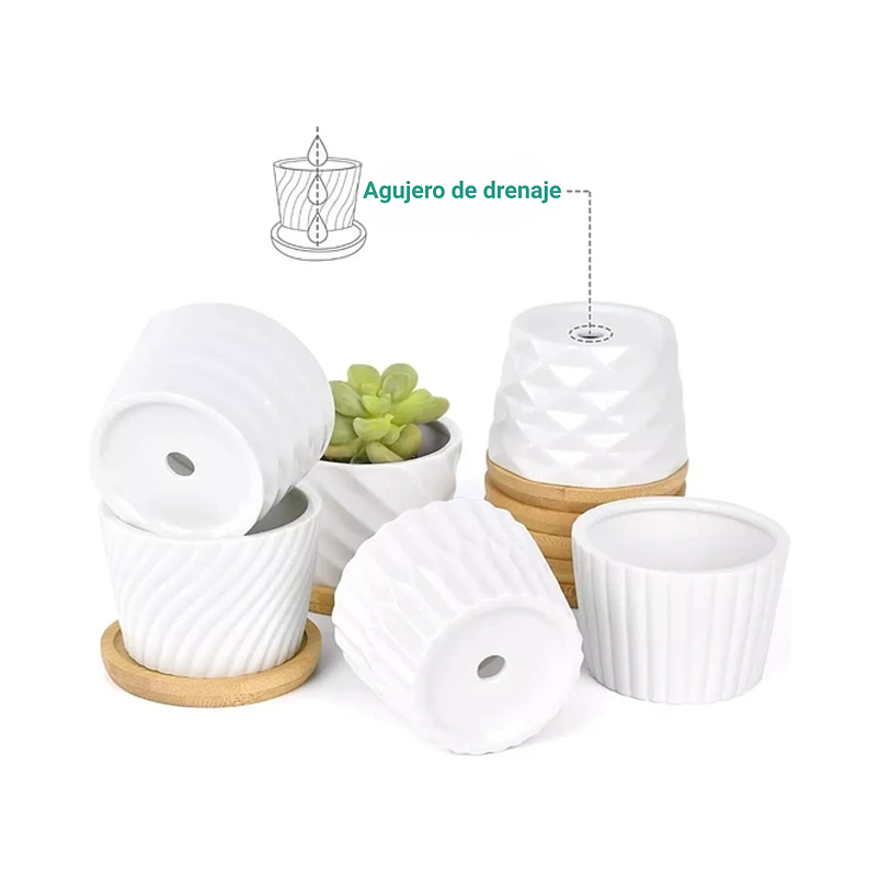 Juego De Macetas En Cerámica Y Bambú De Cactus Suculenta x6 6