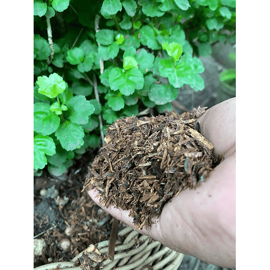 Abono Organico Preparado 8