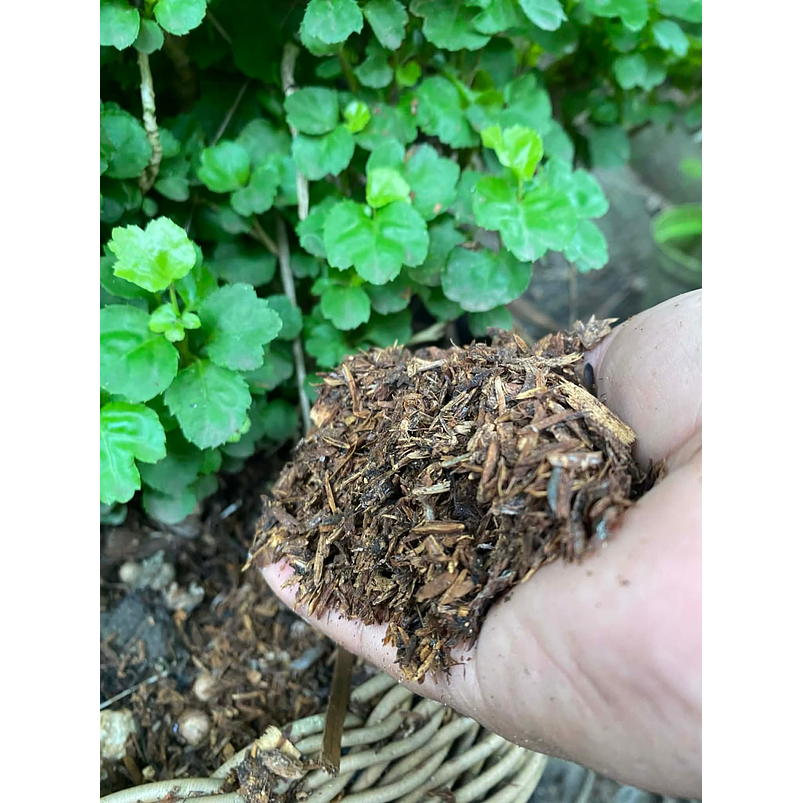 Abono Organico Preparado 8