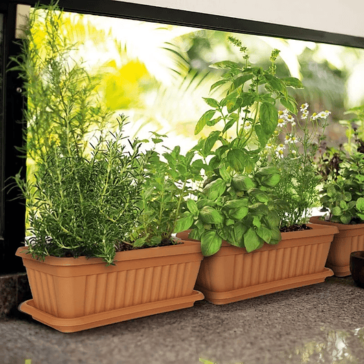 Maceta Plástica Rectangular x 2 Unidades de 45 centímetros Largo Más Plato 5