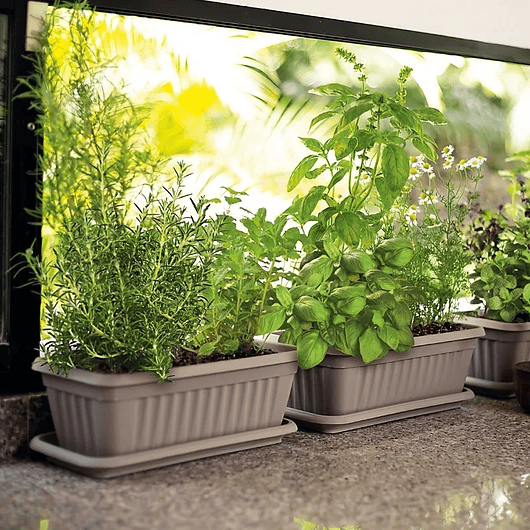 Maceta Plástica Rectangular x 2 Unidades de 45 centímetros Largo Más Plato 6