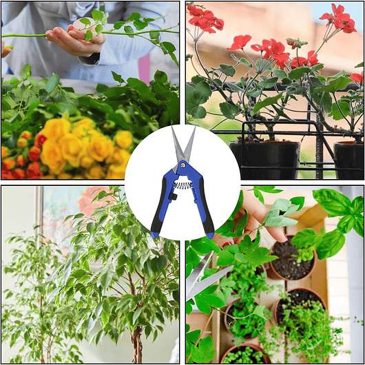 Tijera De Poda De Plantas Acero Inoxidable Punta Recta 26