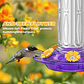 Bebedero Aves Colibríes Plástico De Jardín Colgante x600ml - Miniatura 11