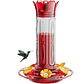Bebedero Aves Colibríes Plástico De Jardín Colgante x600ml - Miniatura 1