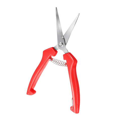 Tijera de Poda y Despunte Plantas Punta Recta En Acero Inoxidable