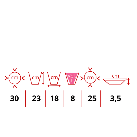 Maceta Plantas Plástica Clásica Más Plato 30cm Diámetro x23cm Alto 2