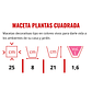Maceta Plantas Cuadrada Plástica Rattan Mediana 25x25x21 Alto - Miniatura 2