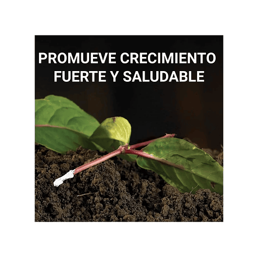 Enraizante De Plantas Hormonas Natural x75gr Doff 4