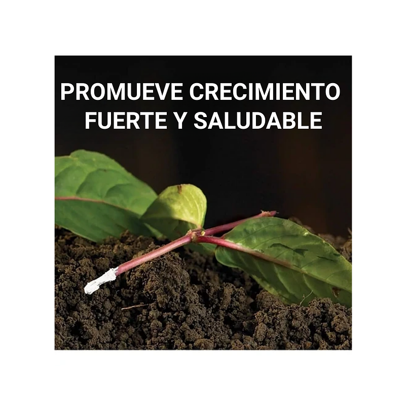 Enraizante De Plantas Hormonas Natural x75gr Doff 4