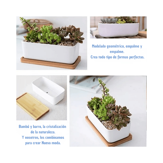 Maceta Cerámica Rectangular Blanca más plato en Bambu 16cm Largo 3