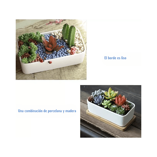 Maceta Cerámica Rectangular Blanca más plato en Bambu 16cm Largo 4