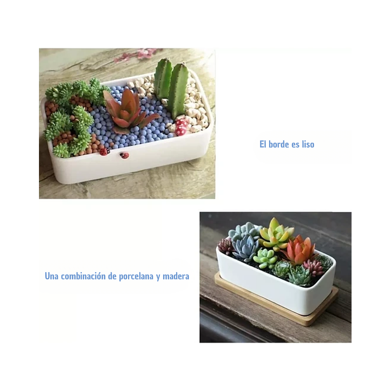 Maceta Cerámica Rectangular Blanca más plato en Bambu 16cm Largo 4