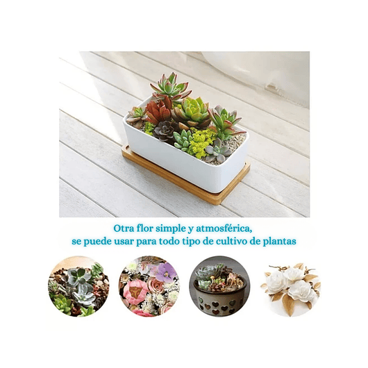 Maceta Cerámica Rectangular Blanca más plato en Bambu 16cm Largo 5