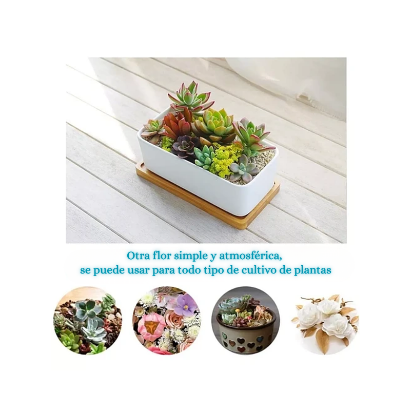 Maceta Cerámica Rectangular Blanca más plato en Bambu 16cm Largo 5