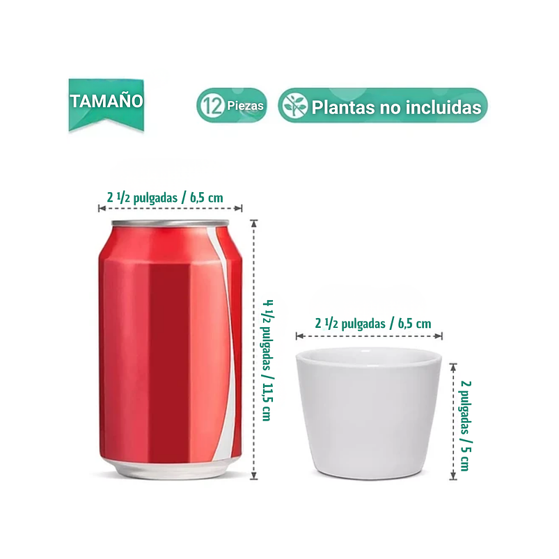 Maceta Cerámica Premium Cactus más plato Bambu 1unid 6.5cm Diam Blanco 2