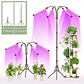 Luz Led Cultivo Crecimiento Plantas Espectro Completo - Miniatura 2