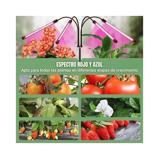 Luz Led Cultivo Crecimiento Plantas Espectro Completo 6