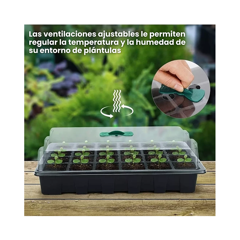 Kit De Germinacion X6 Bandejas más Cupula y herramientas Plantas 4