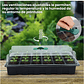 Kit De Germinacion X6 Bandejas más Cupula y herramientas Plantas - Miniatura 4
