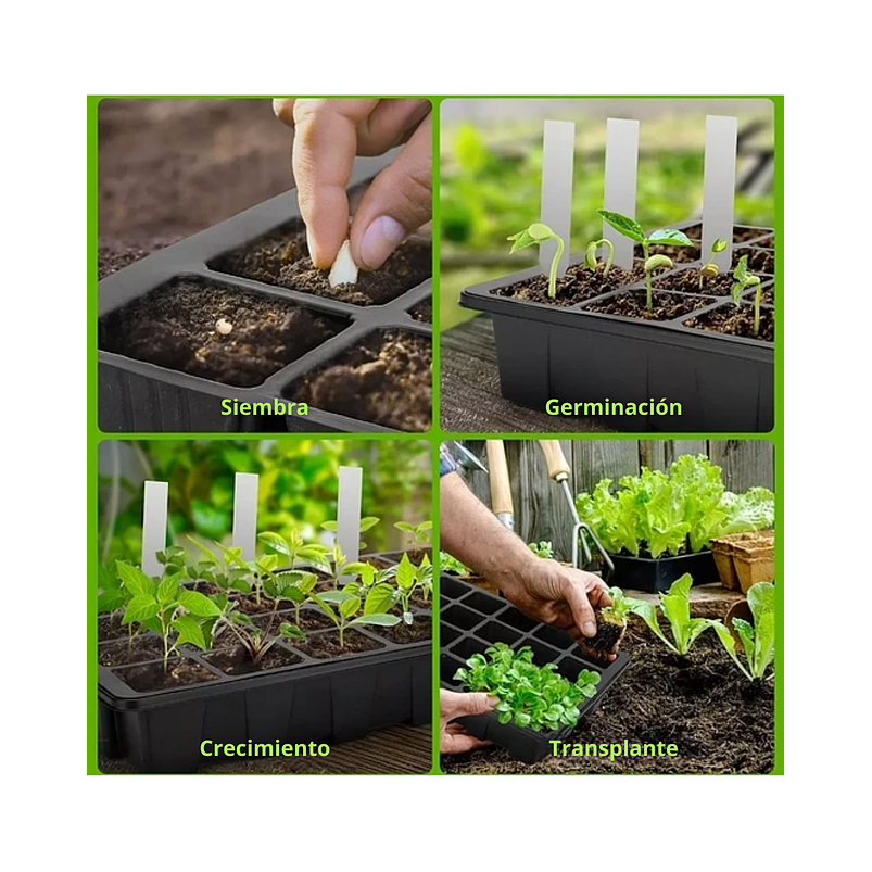 Kit De Germinacion X6 Bandejas más Cupula y herramientas Plantas 5