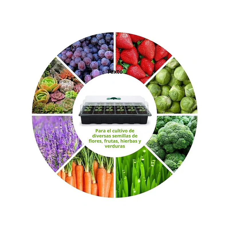 Kit De Germinacion X6 Bandejas más Cupula y herramientas Plantas 6