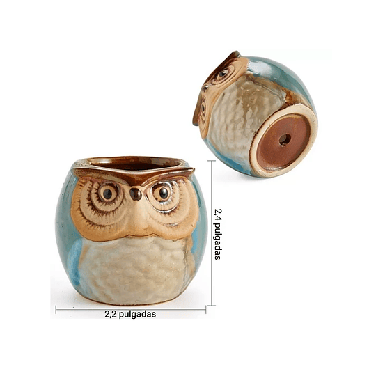 Juego Macetas x6 Cerámica Fina Diseños de Cactus Suculentas 3