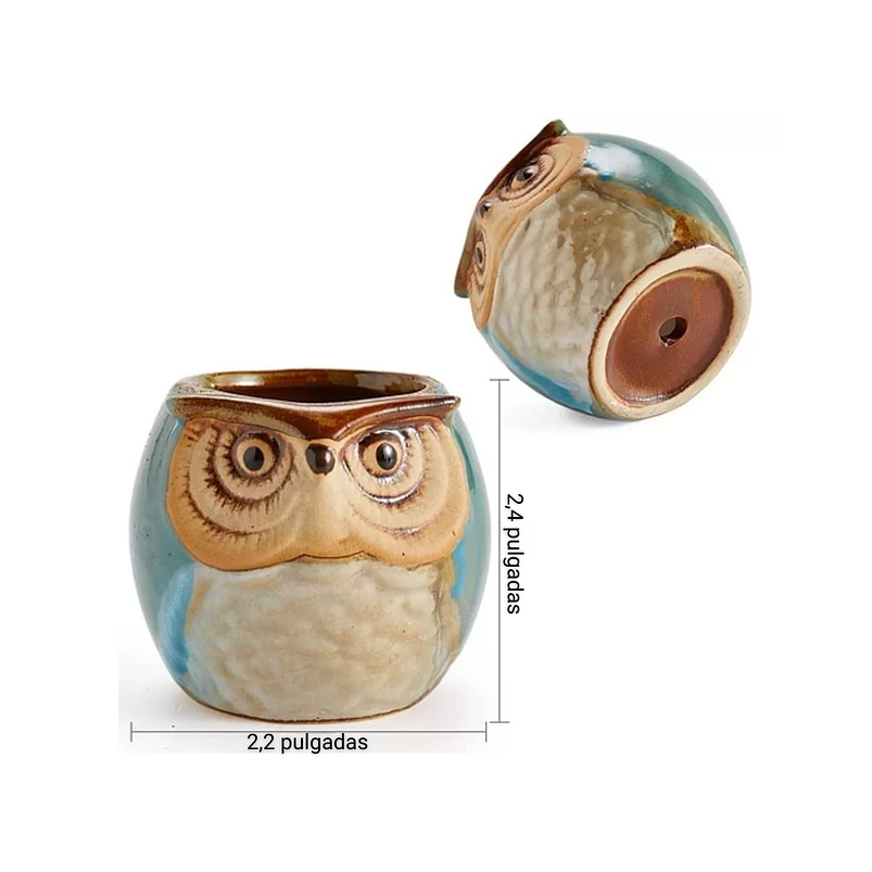 Juego Macetas x6 Cerámica Fina Diseños de Cactus Suculentas 3