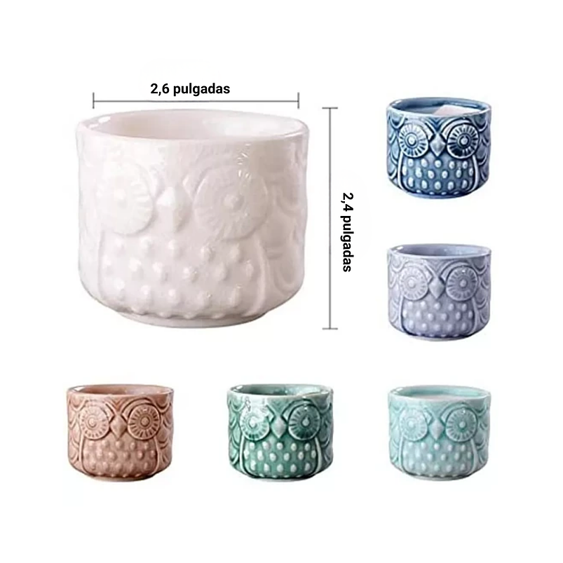 Juego de Macetas Ceramica x6 unidades Búho más Plato Bambu Cactus 5