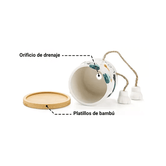 Juego de Macetas Cerámica x3 Unidades Diseño Gatos Cactus y Suculentas 5