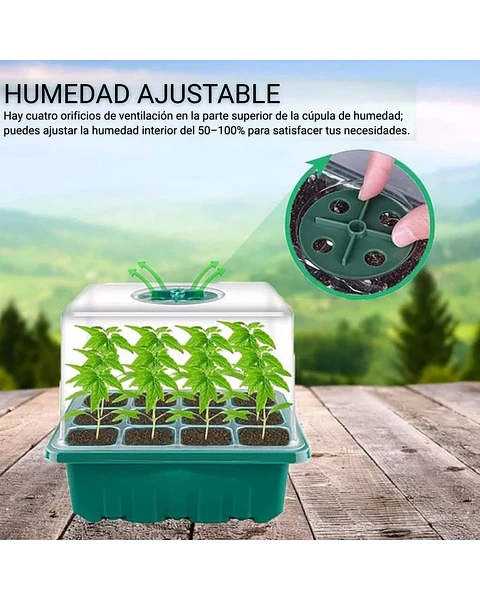 Bandeja Germinación Semillas Plástica x1 Unidades mas Cúpula Alta