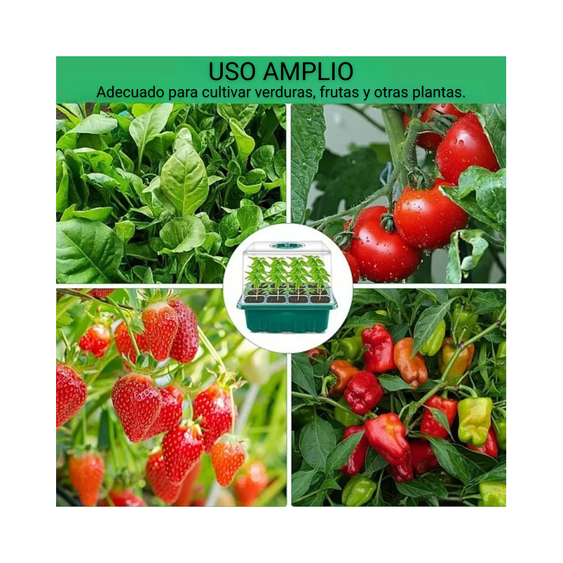 Bandeja Germinación Semillas Plástica x1 Unidades mas Cúpula Alta 3