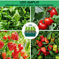 Bandeja Germinación Semillas Plástica x1 Unidades mas Cúpula Alta - Miniatura 3