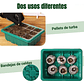 Bandeja Germinación Semillas Plástica x1 Unidades mas Cúpula Alta - Miniatura 4