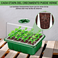 Bandeja Germinación Semillas Plástica x1 Unidades mas Cúpula Alta - Miniatura 5