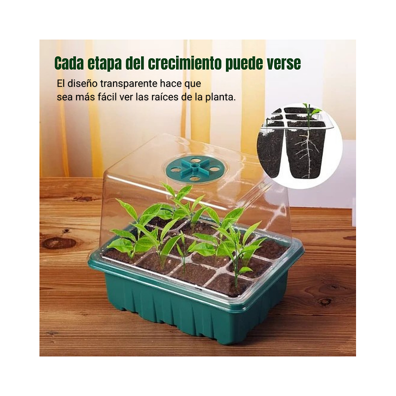 Bandeja Germinación Semillas Plástica x1 Unidades mas Cúpula Alta 7