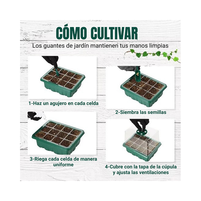 Bandeja Germinación Semillas Plástica x1 Unidades mas Cúpula Alta 8